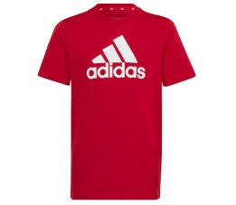Koszulka adidas Big Logo Tee Jr IC6856