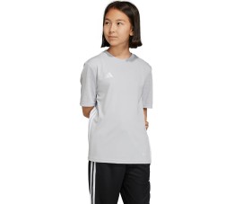 Koszulka dla dzieci adidas Tabela 23 Jersey szara IA9153