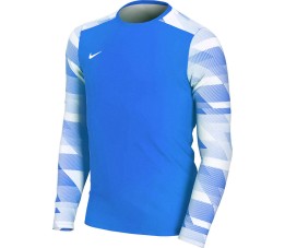 Bluza bramkarska dla dzieci Nike Dry Park IV JSY LS GK JUNIOR niebieska CJ6072 463