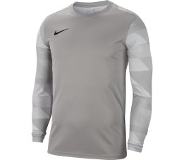 Bluza bramkarska męska Nike Dry Park IV JSY LS GK szara CJ6066 052