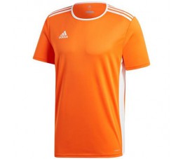 Koszulka adidas Entrada 18 Jersey pomarańczowa CD8366