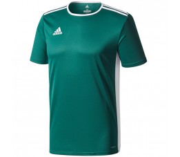 Koszulka męska adidas Entrada 18 Jersey zielona CD8358