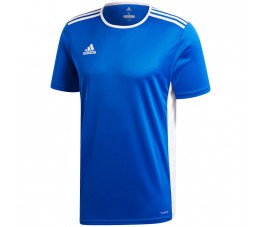 Koszulka dla dzieci adidas Entrada 18 Jersey JUNIOR niebieska CF1037/CF1049