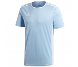 Koszulka dla dzieci adidas Entrada 18 Jersey JUNIOR błękitna CD8414/CF1045