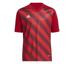 Koszulka dla dzieci adidas Entrada 22 Graphic Jersey czerwona H58983