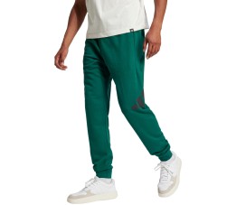 Spodnie męskie adidas Essentials Big Logo French Terry zielone JE8971