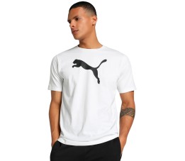 Koszulka męska Puma Team Rise Logo Jersey Cotton biała 658705 04