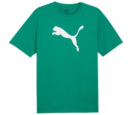 Koszulka męska Puma Team Rise Logo Jersey Cotton zielona 658705 05