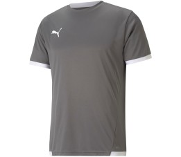 Koszulka męska Puma teamLIGA Jersey szara 704917 13