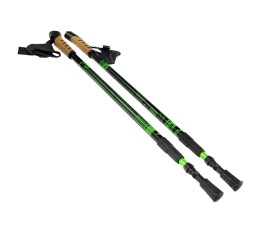 Kijki Nordic Walking Scout Bjorn zielone 3cz
