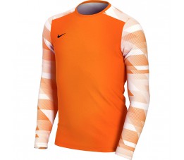 Bluza bramkarska dla dzieci Nike Dry Park IV JSY LS GK JUNIOR pomarańczowa CJ6072 819