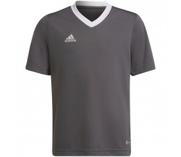 Koszulka dla dzieci adidas Entrada 22 Jsy szara H57499