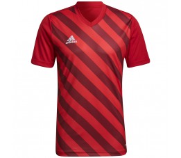 Koszulka męska adidas Entrada 22 Graphic Jersey czerwono-bordowa HB0572