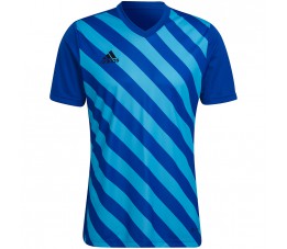 Koszulka męska adidas Entrada 22 Graphic Jersey niebiesko-błękitna HF0116