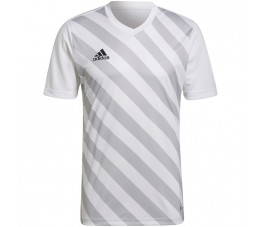 Koszulka męska adidas Entrada 22 Graphic Jersey biało-szara HF0129