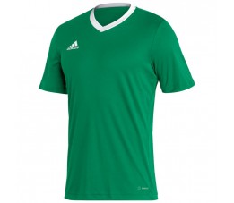 Koszulka piłkarska adidas Entrada 22 Jersey zielona HI2123