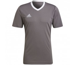 Koszulka męska adidas Entrada 22 Jersey szara HE1574