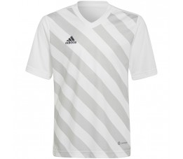 Koszulka dla dzieci adidas Entrada 22 Graphic Jersey biało-szara HF0120