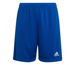 Spodenki dla dzieci adidas Entrada 22 niebieskie HG6291