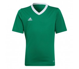 Koszulka dla dzieci adidas Entrada 22 Jersey zielona HI2126