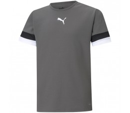 Koszulka dla dzieci Puma teamRISE Jersey Jr szara 704938 13