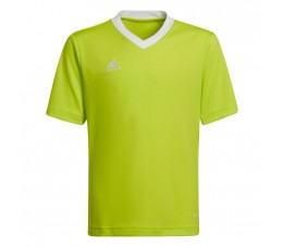 Koszulka dla dzieci adidas Entrada 22 Jersey limonkowa HC5079
