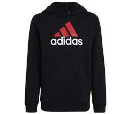 Bluza adidas Big Logo 2 Hoody Jr HR6370